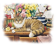 Gatto 13